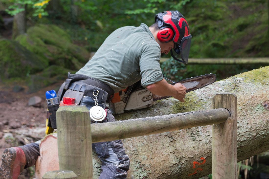 Sharpening a chainsaw chain